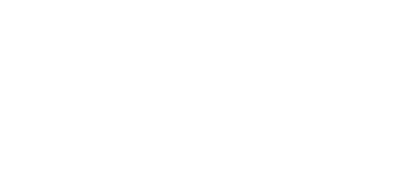 Logo BudX World Tour